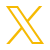 x icon